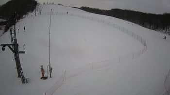 Ведмежа 18 січня 2022 року, 2022-01-18 16:00