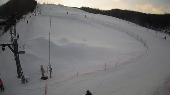 Ведмежа 19 січня 2022 року, 2022-01-19 16:00