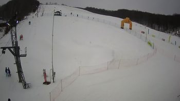 Ведмежа 20 січня 2022 року, 2022-01-20 10:00