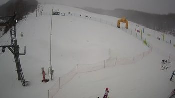 Ведмежа 20 січня 2022 року, 2022-01-20 13:00