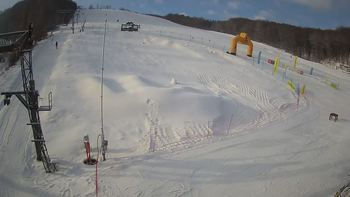 Ведмежа 21 січня 2022 року, 2022-01-21 10:00