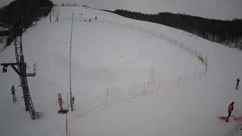 Ведмежа 21 січня 2022 року, 2022-01-21 13:00