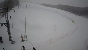 Ведмежа 22 січня 2022 року, 2022-01-22 13:00