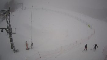 Ведмежа 22 січня 2022 року, 2022-01-22 16:00