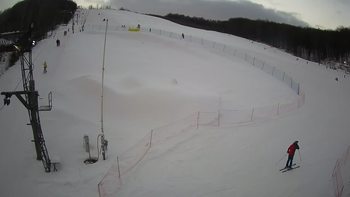 Ведмежа 23 січня 2022 року, 2022-01-23 16:00
