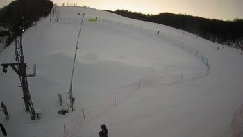 Ведмежа 24 січня 2022 року, 2022-01-24 16:00