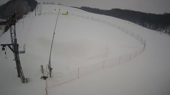 Ведмежа 25 січня 2022 року, 2022-01-25 10:00