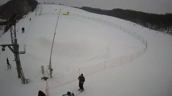 Ведмежа 25 січня 2022 року, 2022-01-25 13:00