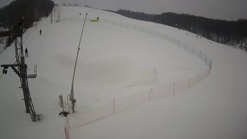 Ведмежа 25 січня 2022 року, 2022-01-25 16:00