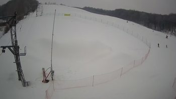 Ведмежа 26 січня 2022 року, 2022-01-26 10:00