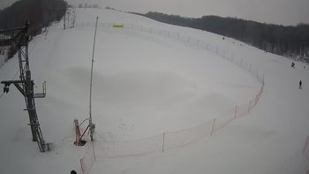 Ведмежа 26 січня 2022 року, 2022-01-26 13:00