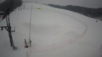 Ведмежа 26 січня 2022 року, 2022-01-26 16:00