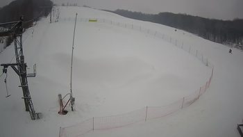 Ведмежа 27 січня 2022 року, 2022-01-27 10:00