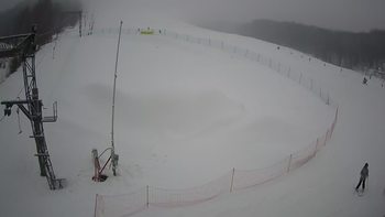 Ведмежа 27 січня 2022 року, 2022-01-27 13:00