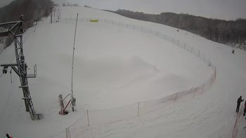 Ведмежа 28 січня 2022 року, 2022-01-28 10:00