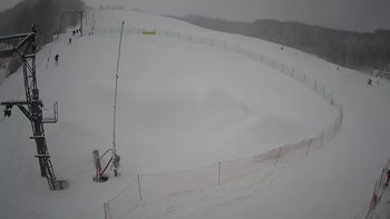 Ведмежа 28 січня 2022 року, 2022-01-28 13:00