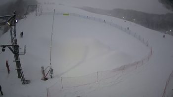 Ведмежа 28 січня 2022 року, 2022-01-28 16:00