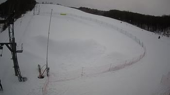 Ведмежа 31 січня 2022 року, 2022-01-31 16:00