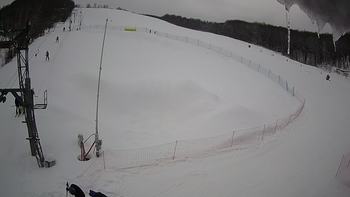 Ведмежа 4 лютого 2022 року, 2022-02-04 13:00