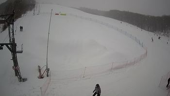 Ведмежа 6 лютого 2022 року, 2022-02-06 13:00