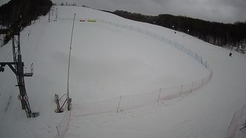 Ведмежа 7 лютого 2022 року, 2022-02-07 16:00