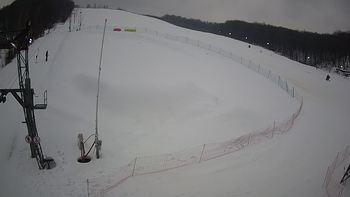 Ведмежа 11 лютого 2022 року, 2022-02-11 16:00