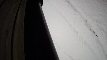 Ведмежа 28 листопада 2023 року, 2023-11-28 13:00
