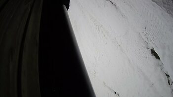 Ведмежа 3 грудня 2023 року, 2023-12-03 16:00