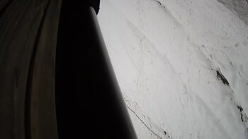 Ведмежа 4 грудня 2023 року, 2023-12-04 13:00