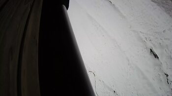 Ведмежа 5 грудня 2023 року, 2023-12-05 10:00