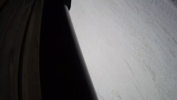 Ведмежа 7 грудня 2023 року, 2023-12-07 16:00
