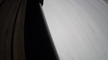 Ведмежа 8 грудня 2023 року, 2023-12-08 10:00