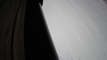 Ведмежа 8 грудня 2023 року, 2023-12-08 13:00