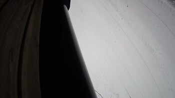 Ведмежа 9 грудня 2023 року, 2023-12-09 10:00