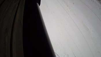 Ведмежа 9 грудня 2023 року, 2023-12-09 13:00