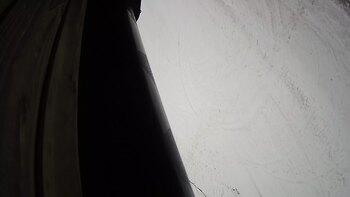 Ведмежа 13 грудня 2023 року, 2023-12-13 10:00