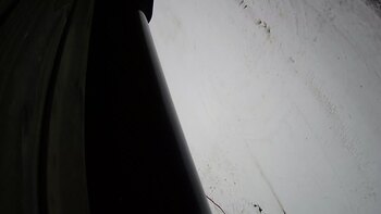 Ведмежа 14 грудня 2023 року, 2023-12-14 16:00