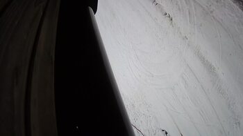 Ведмежа 15 грудня 2023 року, 2023-12-15 13:00