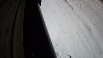 Ведмежа 15 грудня 2023 року, 2023-12-15 16:00