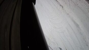 Ведмежа 16 грудня 2023 року, 2023-12-16 13:00