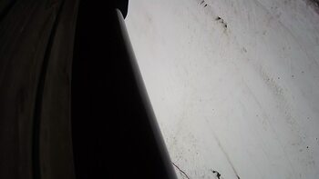 Ведмежа 18 грудня 2023 року, 2023-12-18 10:00