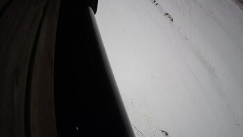 Ведмежа 21 грудня 2023 року, 2023-12-21 13:00