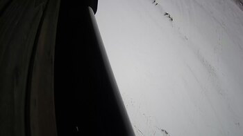 Ведмежа 21 грудня 2023 року, 2023-12-21 16:00