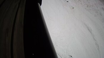 Ведмежа 28 грудня 2023 року, 2023-12-28 16:00
