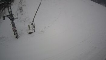 Ведмежа 14 січня 2024 року, 2024-01-14 16:00