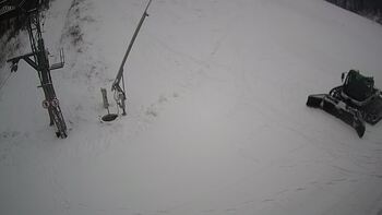 Ведмежа 15 січня 2024 року, 2024-01-15 13:00