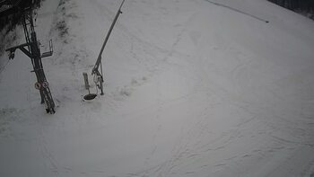 Ведмежа 15 січня 2024 року, 2024-01-15 16:00