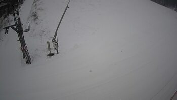 Ведмежа 16 січня 2024 року, 2024-01-16 10:00