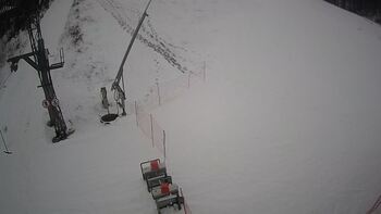 Ведмежа 18 січня 2024 року, 2024-01-18 13:00