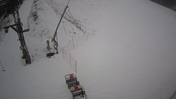 Ведмежа 18 січня 2024 року, 2024-01-18 16:00